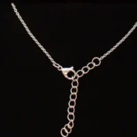 Stainless Steel Light Rolo with Extender Chain