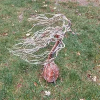 Handcrafted Gemstone Display Trees with Himilayan Salt Lamp