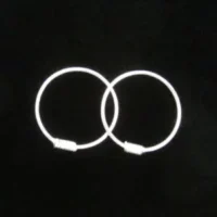 Sterling Silver 14mm Wire Hoop with Coil Earring