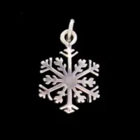 Sterling Silver Snowflake-Small Pendant