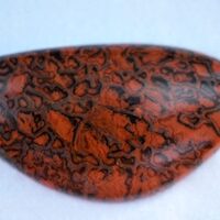 Dinosaur Bone Cabochon